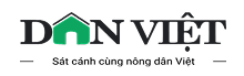 danviet
